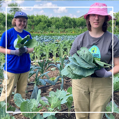 Outdoor Youth Corps participants in a farm field with leafy vegetables